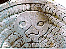 tympanum