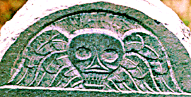 tympanum