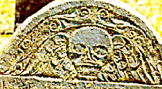 tympanum