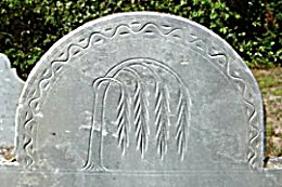 tympanum
