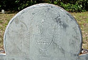 tympanum