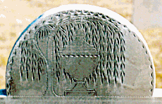 tympanum