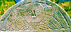 tympanum