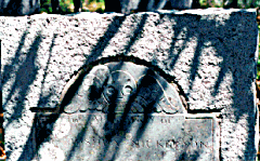 tympanum