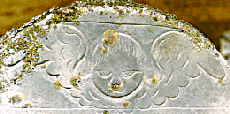 tympanum