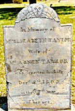 tympanum