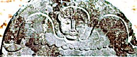 tympanum