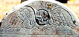 tympanum